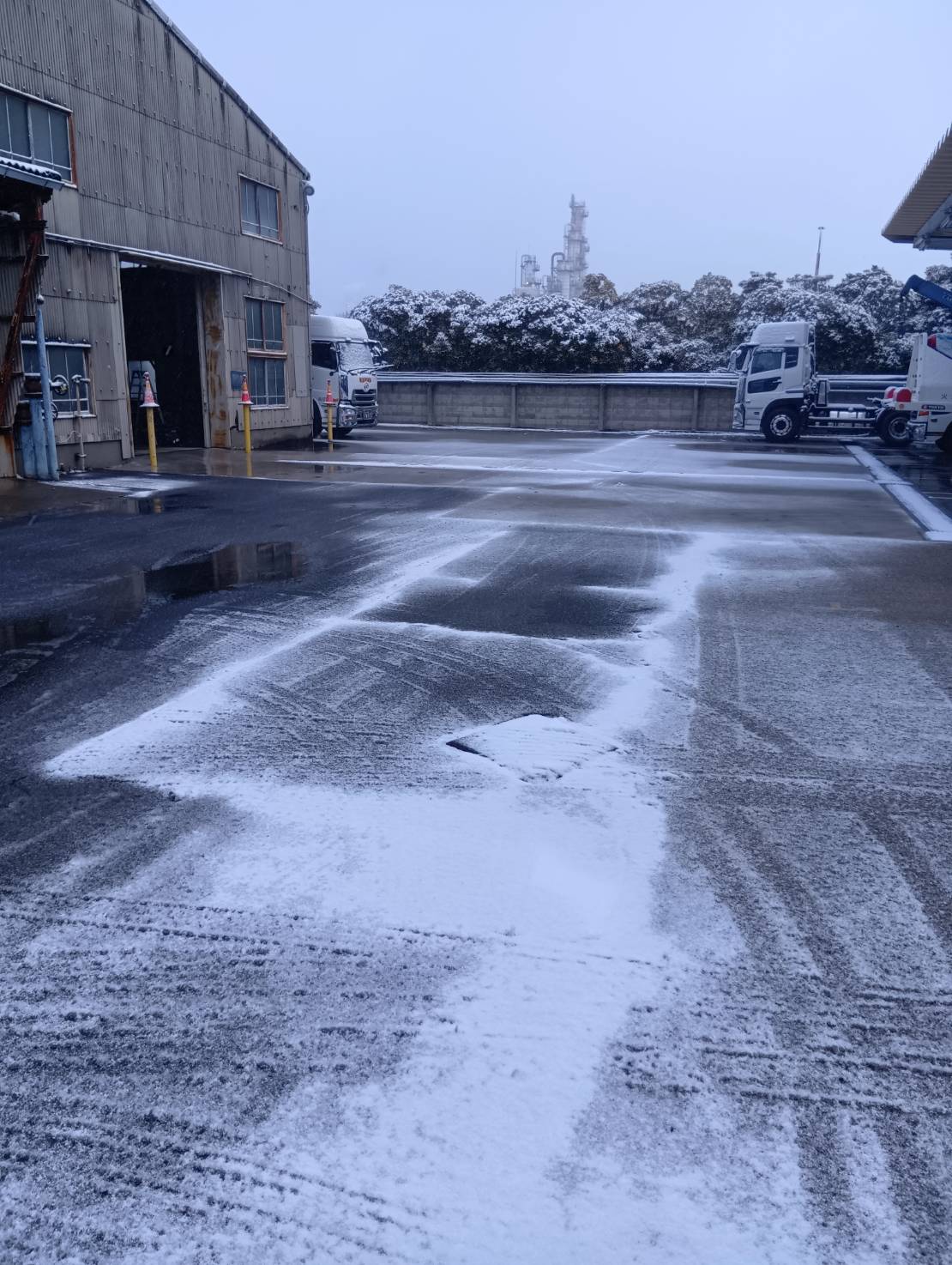 新着情報の画像